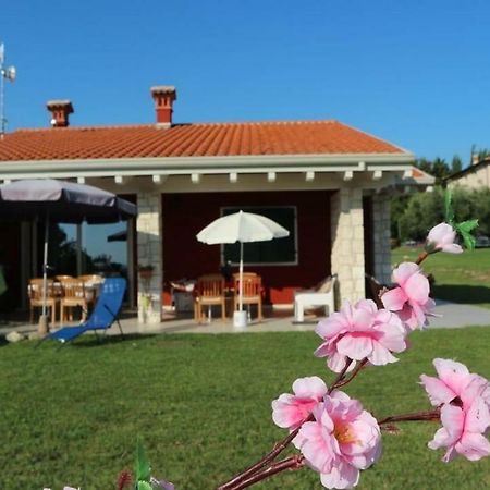 Rosa Dei Venti Sul Garda Daire Bardolino Dış mekan fotoğraf