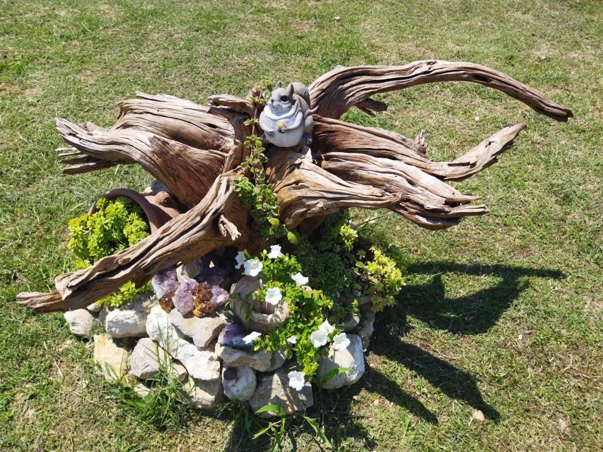 Rosa Dei Venti Sul Garda Daire Bardolino Dış mekan fotoğraf