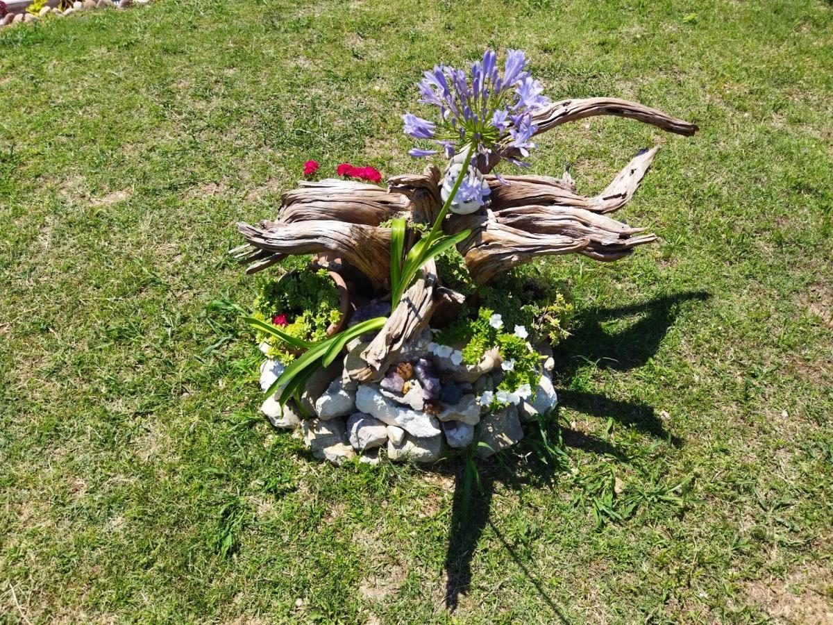 Rosa Dei Venti Sul Garda Daire Bardolino Dış mekan fotoğraf