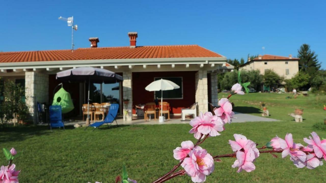 Rosa Dei Venti Sul Garda Daire Bardolino Dış mekan fotoğraf
